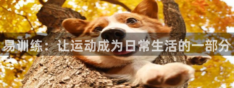 皇冠277体育：易训练：让运动成为日常生活的一部分