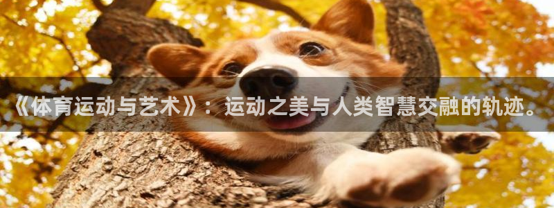 皇冠277体育：《体育运动与艺术》：运动之美与人类智慧交融的轨迹。