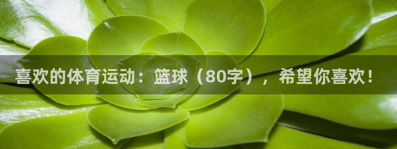 77体育app下载官网：喜欢的体育运动：篮球（80字），希望你喜欢！